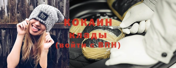 дживик Няндома